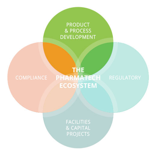 Product & Process Development 