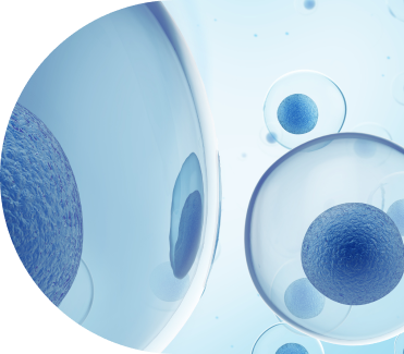 Success the First Time