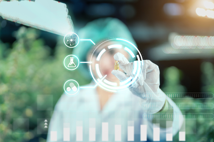 Modeling Services Tailored to Your Development Needs